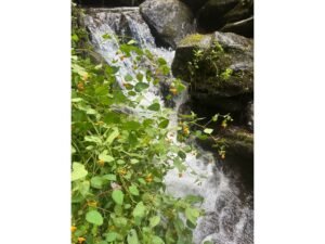 getaways from atlanta ga windows over waterfalls blue ridge mountains