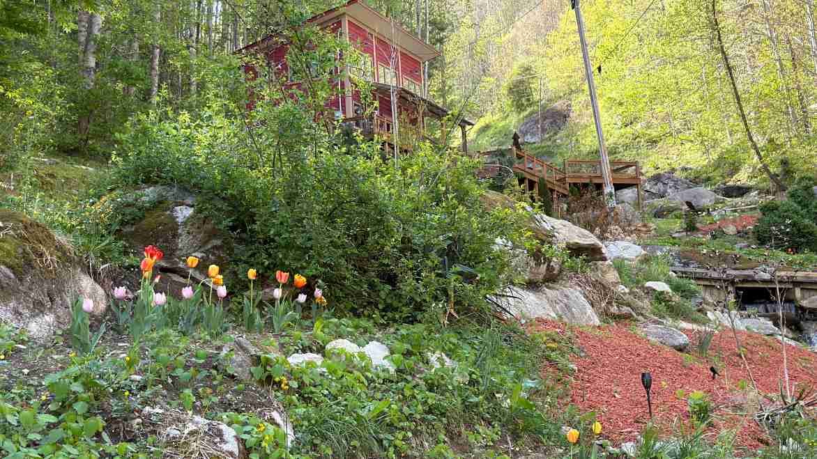 Why Couples Are Choosing Secluded Mountain Cabins Over Busy Resorts