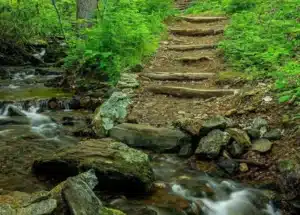 steps on the laurel river trail Laurel River Trail
