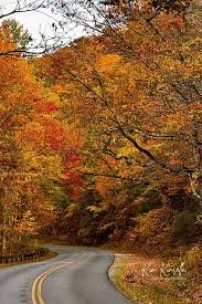Blue Ridge Parkway fall foliage — Black Balsam Knob open bald summit surrounded by crimson and gold fall color in October NC