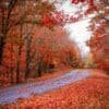 North Carolina fall foliage — Blue Ridge Mountains in western NC covered in crimson and gold fall color in October