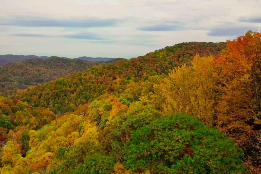 North Carolina fall foliage — Blue Ridge Mountains in western NC covered in crimson and gold fall color in October