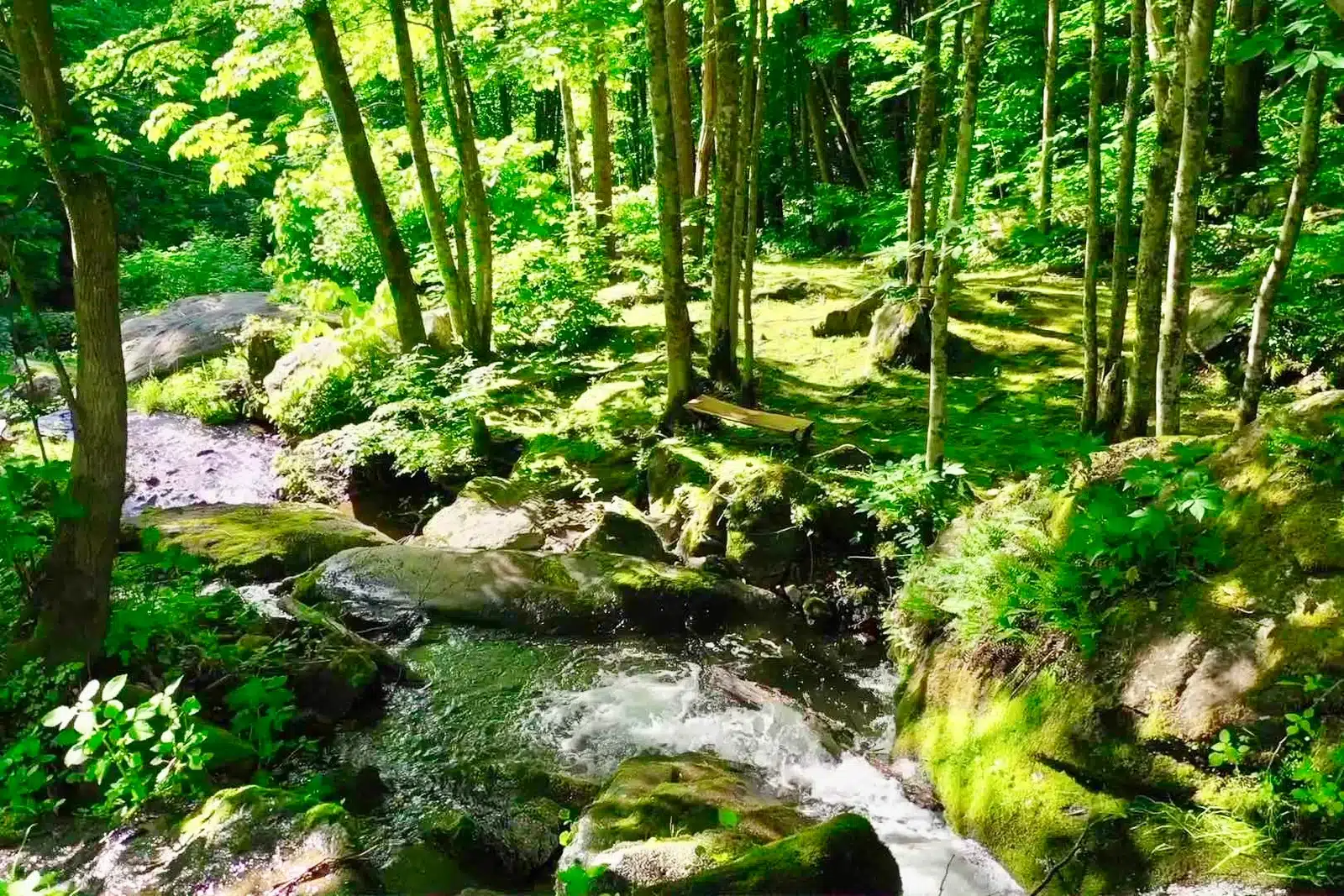 Drone view of unicorn falls at Windows Over Waterfalls Hot Springs NC