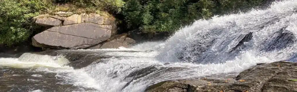 Dupont State Park