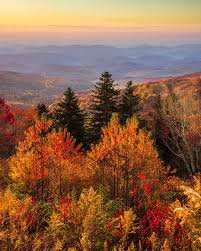 nice view of blue ridge parkway fall foliage