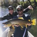 fly fishing hot springs nc trout stream
