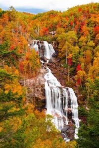 north carolina fall foliage with waterfalls