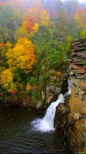 Linville Falls foliage
