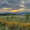 Max Patch Mountain NC — 4,629-foot grassy bald on the Appalachian Trail with 360-degree panoramic views in Madison County