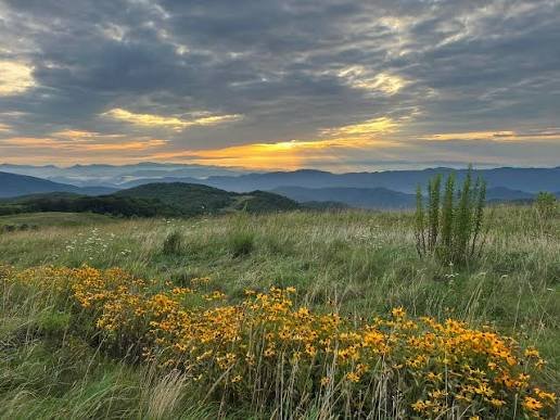 Max Patch Mountain NC — 4,629-foot grassy bald on the Appalachian Trail with 360-degree panoramic views in Madison County