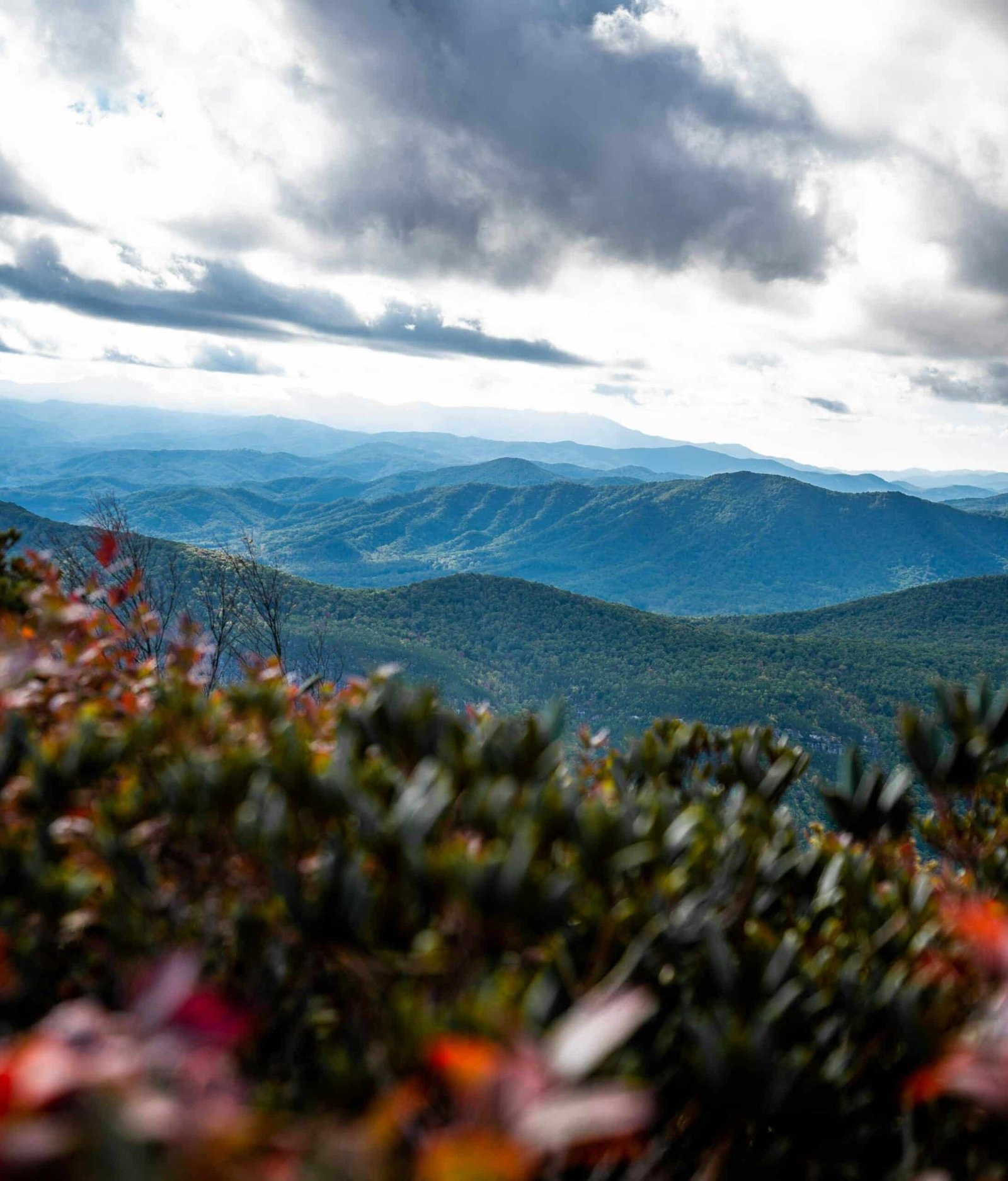 Best Time to Visit Blue Ridge Mountains: By Season